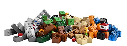 minecraft 21116