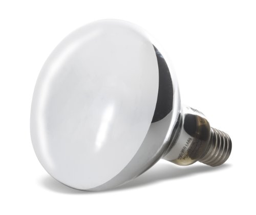 zoomed mercury vapor bulb