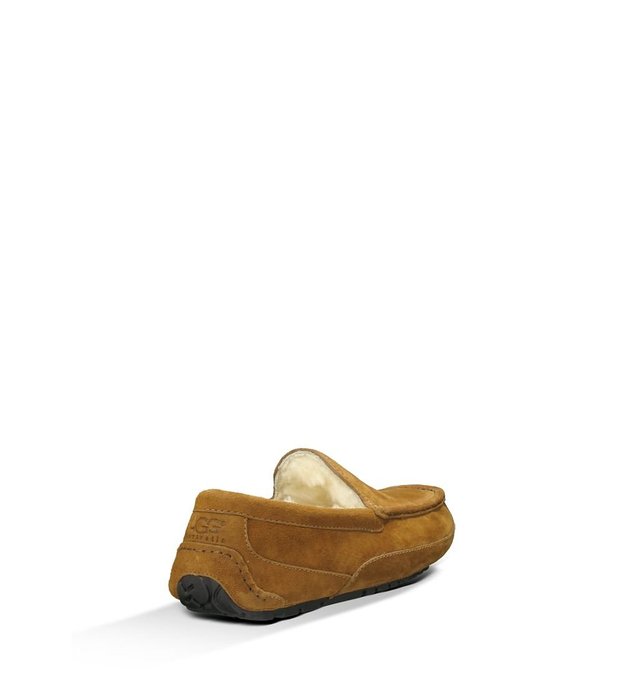 mens ugg ascot slippers chestnut