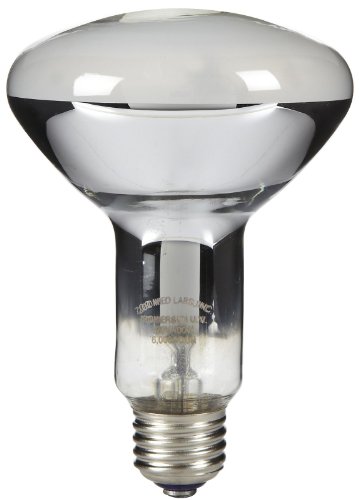 zoomed mercury vapor bulb