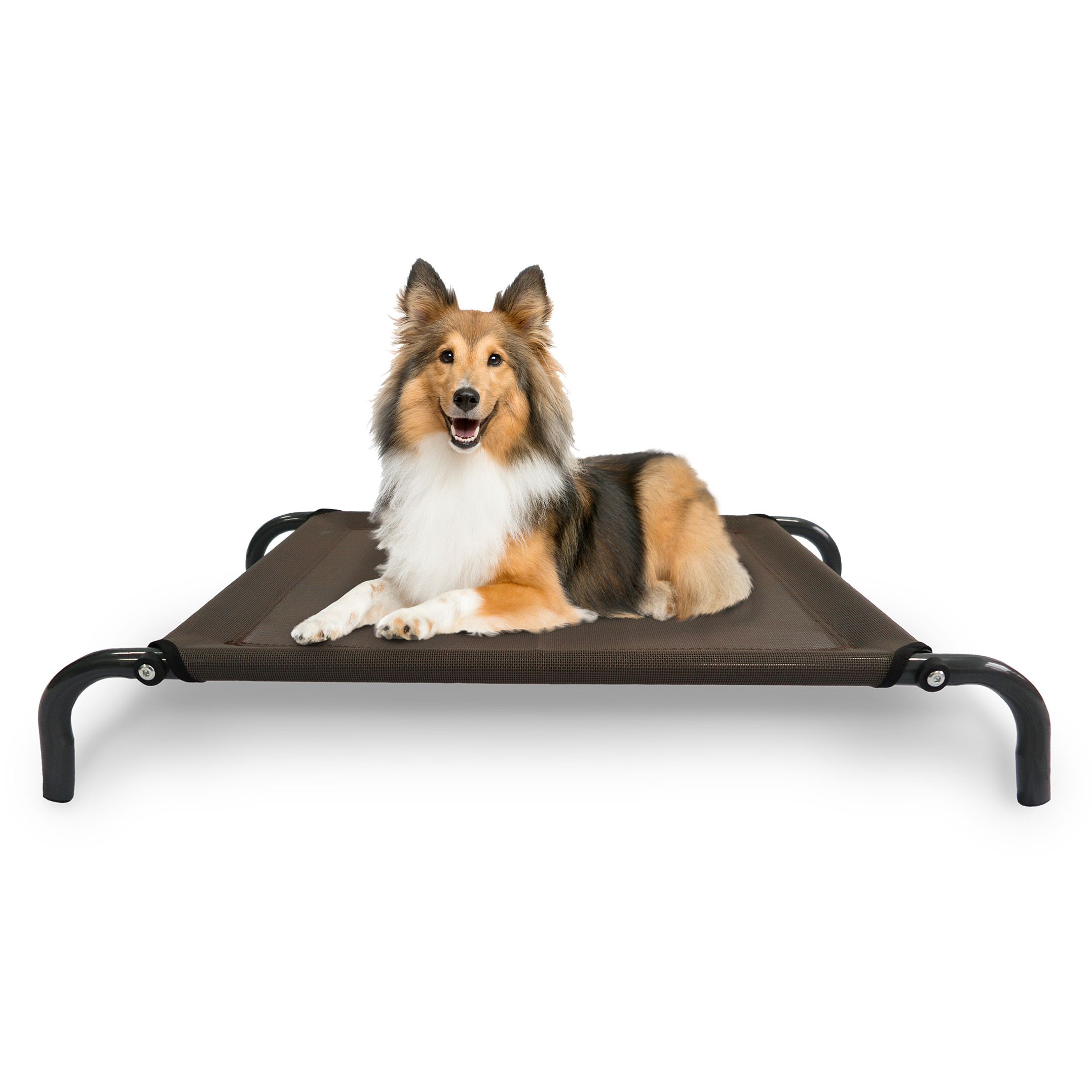 elevated dog bed small furhaven elevated pet dog bedcot espresso size large check elevated dog bed small furhaven elevated pet dog bedcot espresso size large check