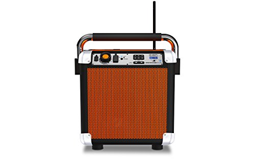 ion audio job rocker ipa30