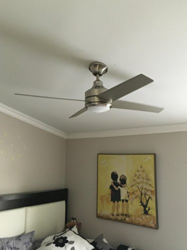 Home Decorators Collection 14725 Mercer 52 In Brushed Nickel
