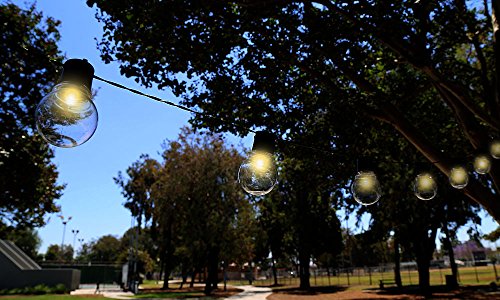 Outdoor Bistro Solar Powered Globe String Lights Clear Blinq Outdoor Bistro Solar Powered Globe String Lights Clear
