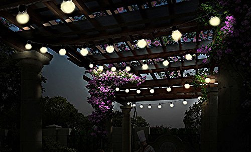 Outdoor Bistro Solar Powered Globe String Light White Pack Of 1 Outdoor Bistro Solar Powered Globe String Light White Pack Of 1 T744