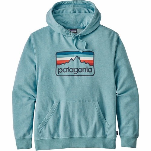 patagonia men's hooded sweatshirt